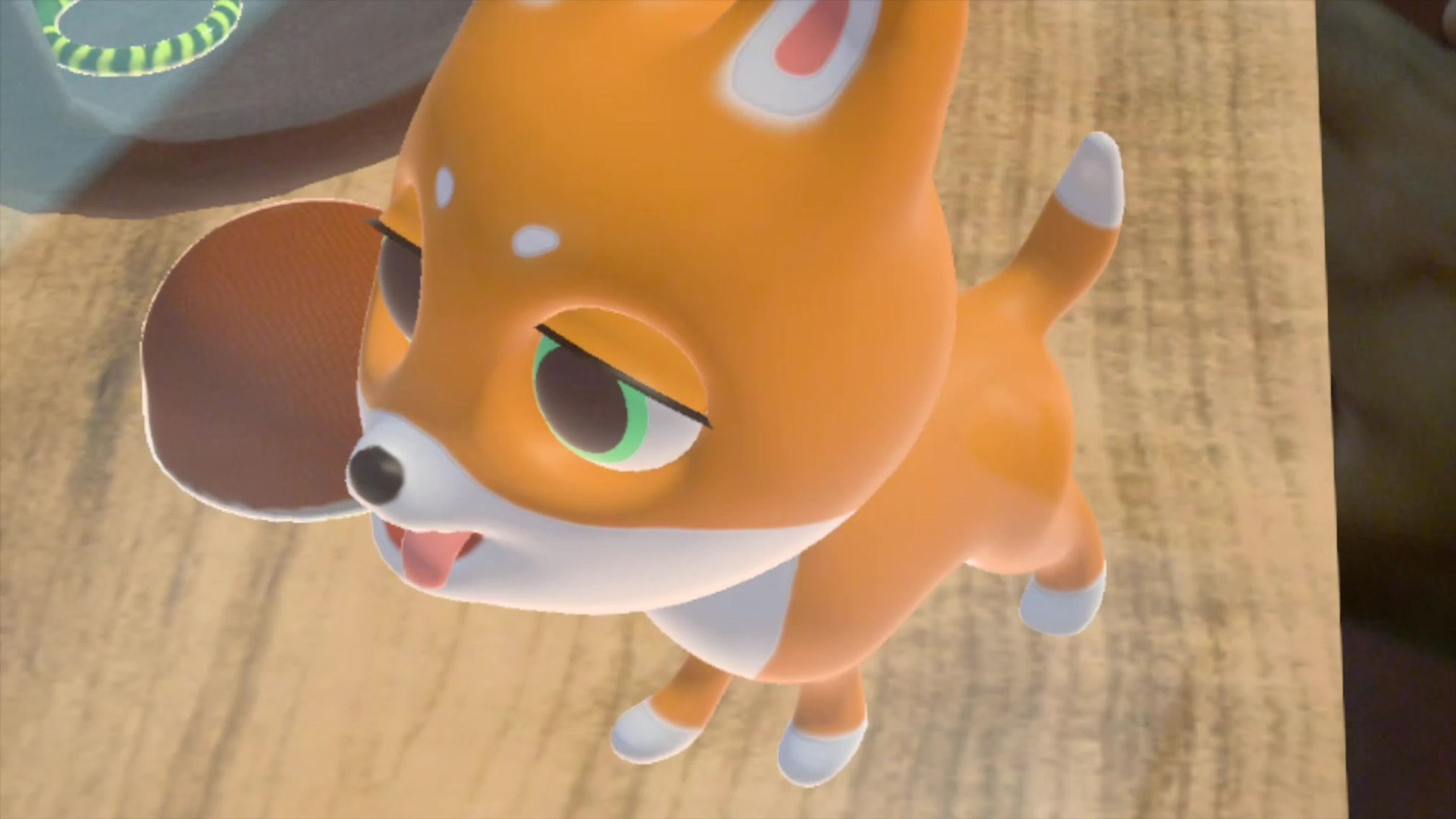 Petting